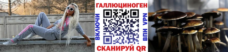 купить закладку  Энгельс  Галлюциногенные грибы мицелий 